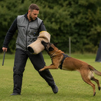 hundesportweste-pro-grau-mann-mit-hund-31405